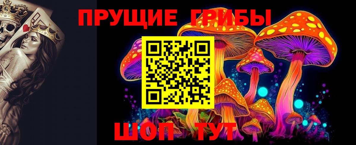 Галлюциногенные грибы Magic Shrooms  Вход с VPN  что такое   Псилоцибиновые грибы мицелий  Киров 